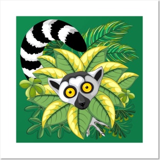 Lemur Ring Tailed, a.k.a. Lemur Catta of Madagascar Posters and Art